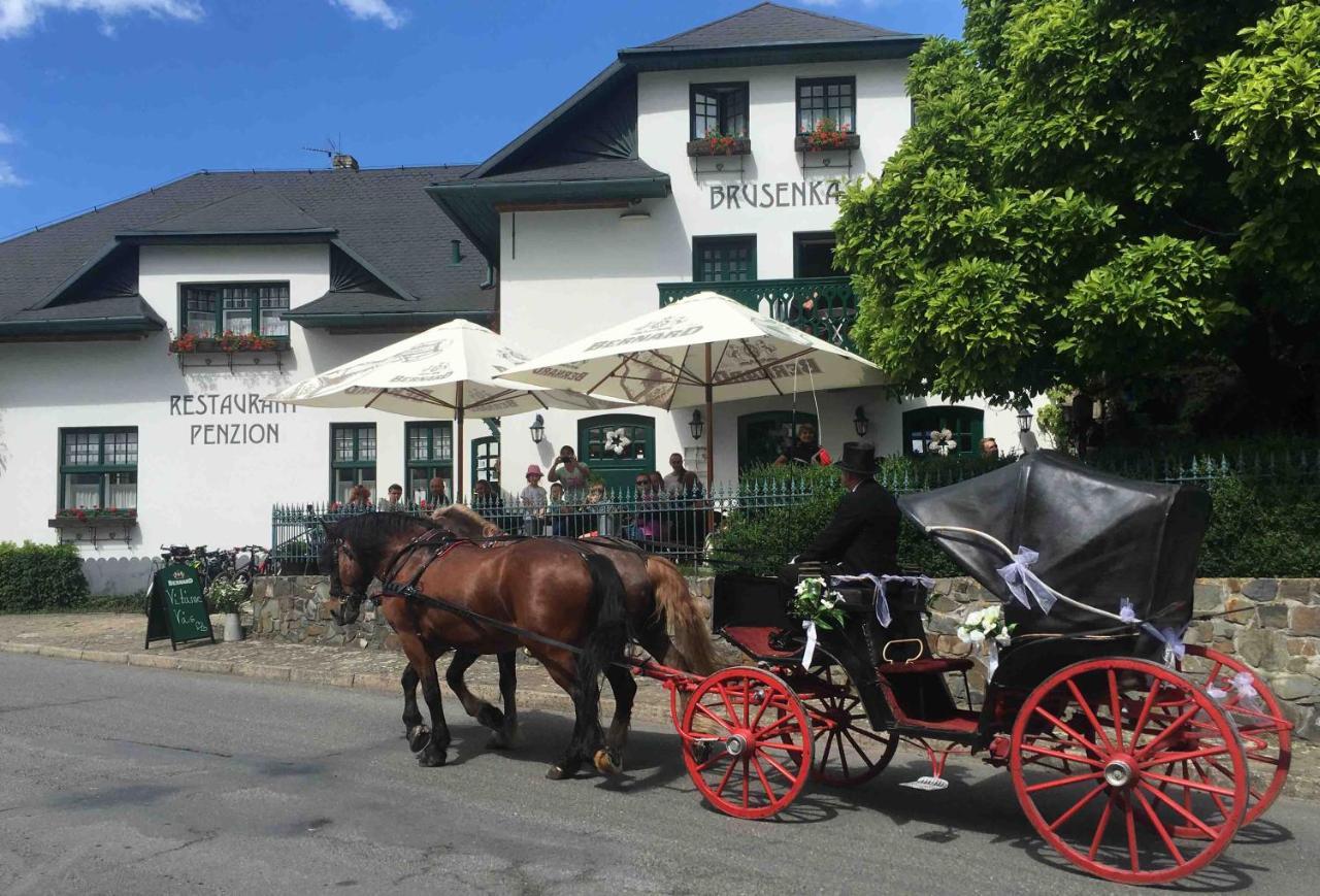 Bystřice pod Hostýnem 布鲁森卡旅馆酒店 外观 照片